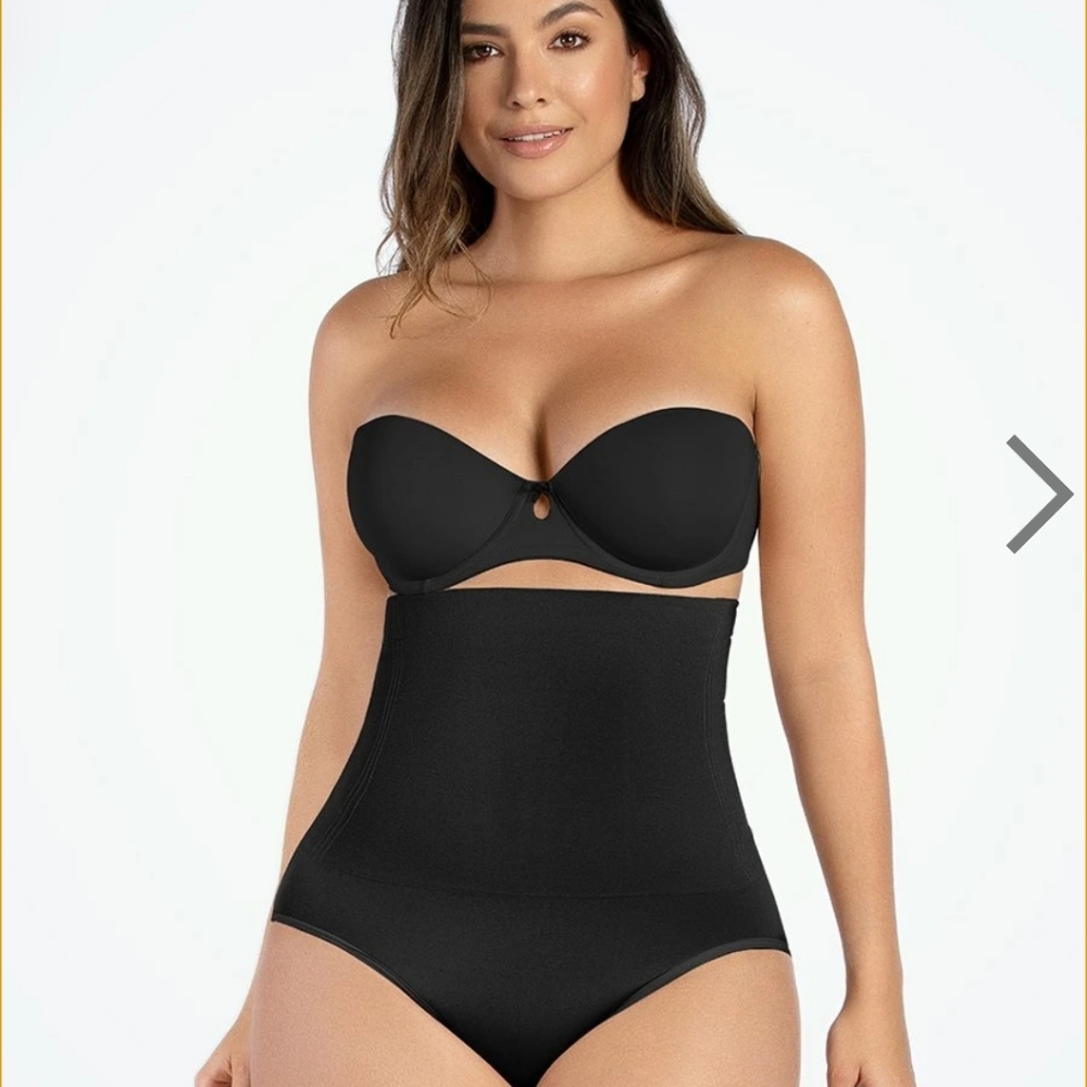 Curveez signature control high waist brief